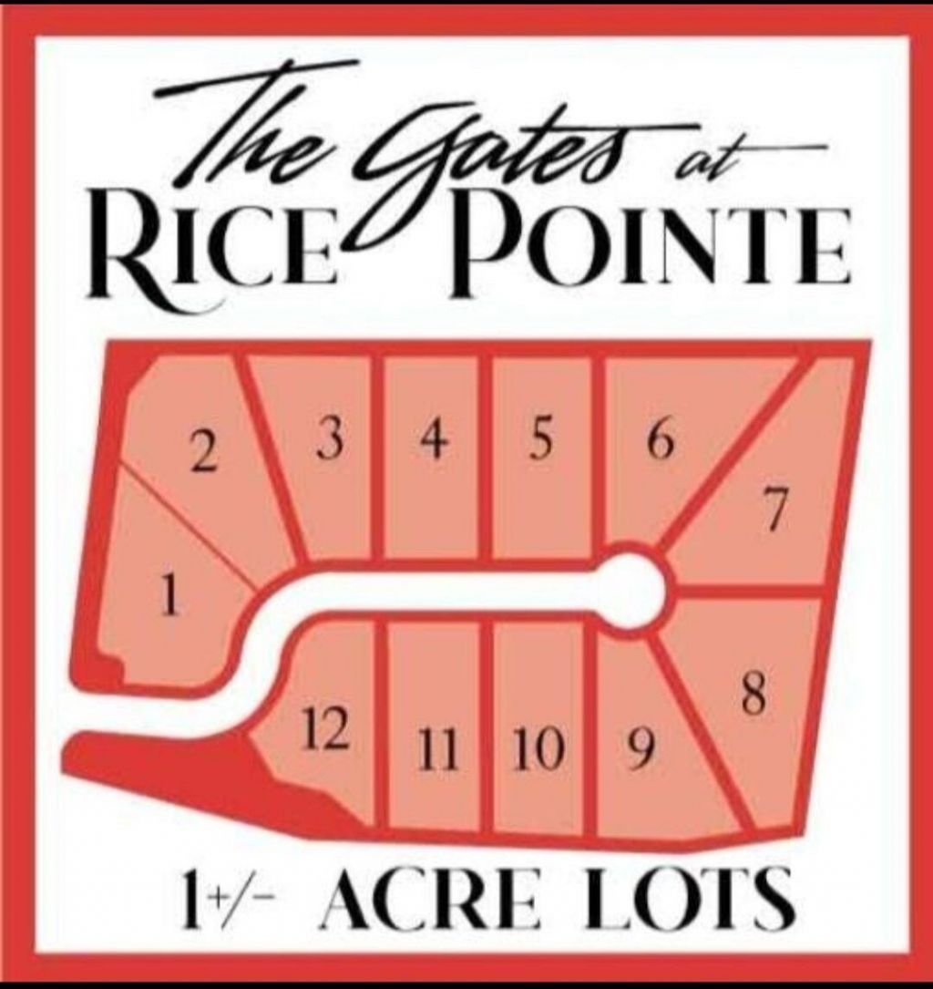 170 Rice Gate Court Photo 4