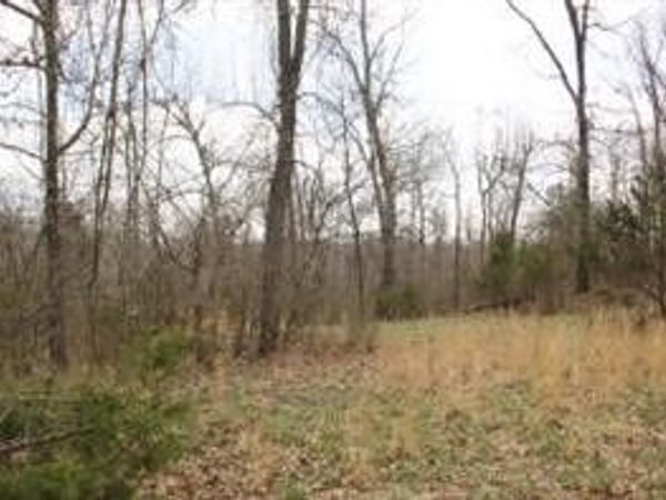 Lot 24 Dogwood Drive , Omaha, AR 72662