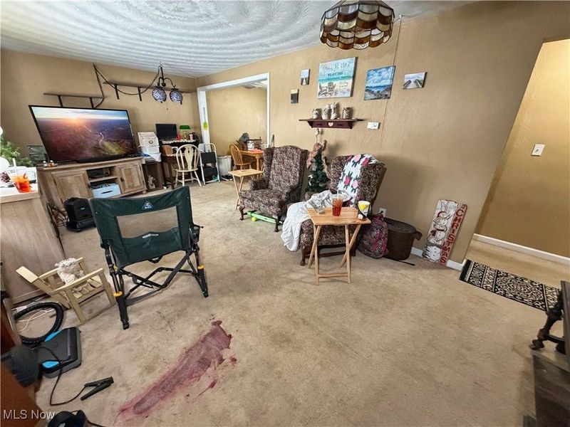 47823 Lincoln Street, Calcutta, OH 43920 Photo 13