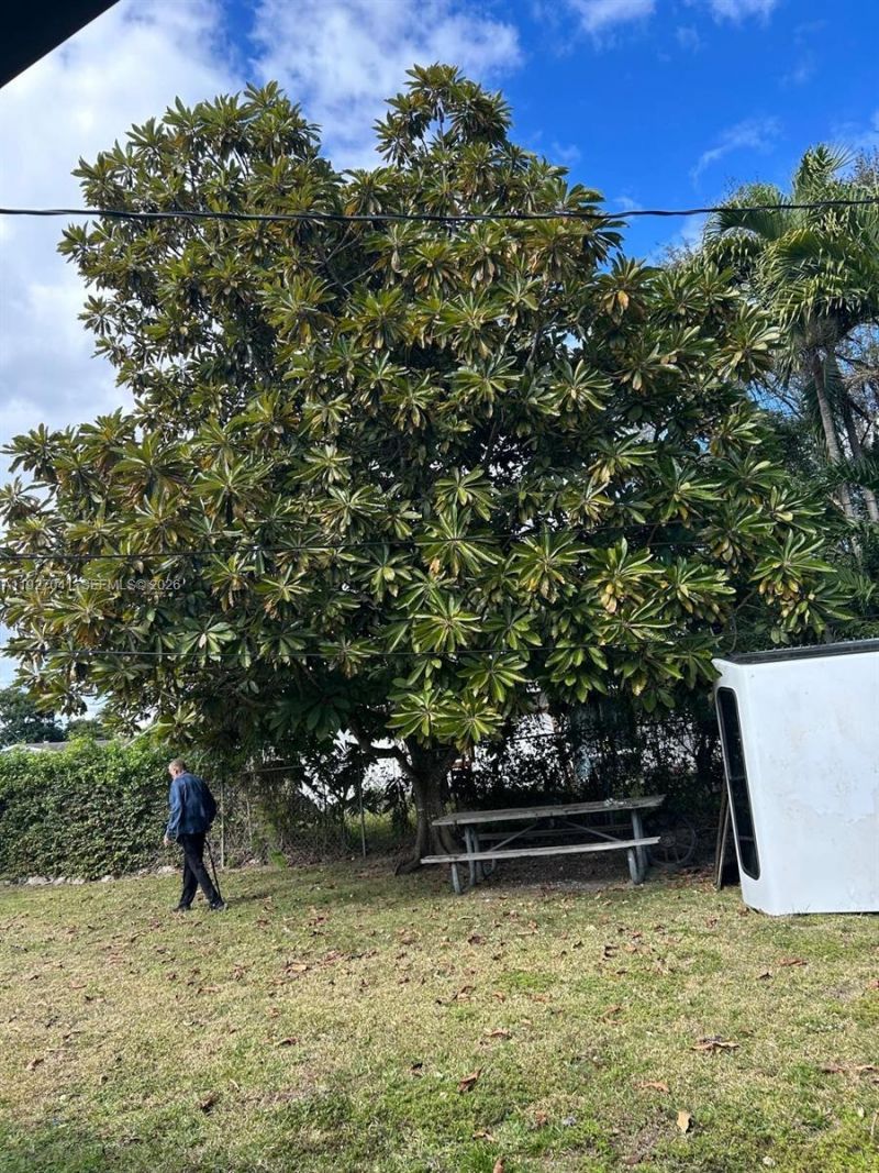 10011 SW 162nd St, Miami, FL 33157 Photo