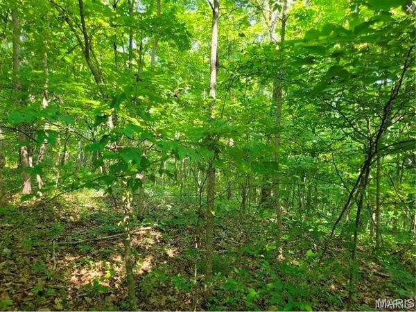 00 County Highway 410, Ellington, MO 63638