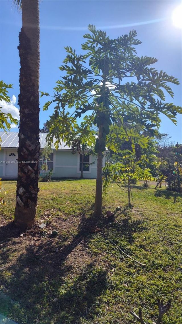 15780 N 62nd Pl N, Loxahatchee, FL 33470 Photo