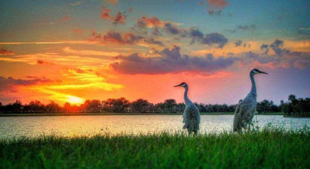 2177 SE Destin Drive, Port Saint Lucie, FL 34952 Photo