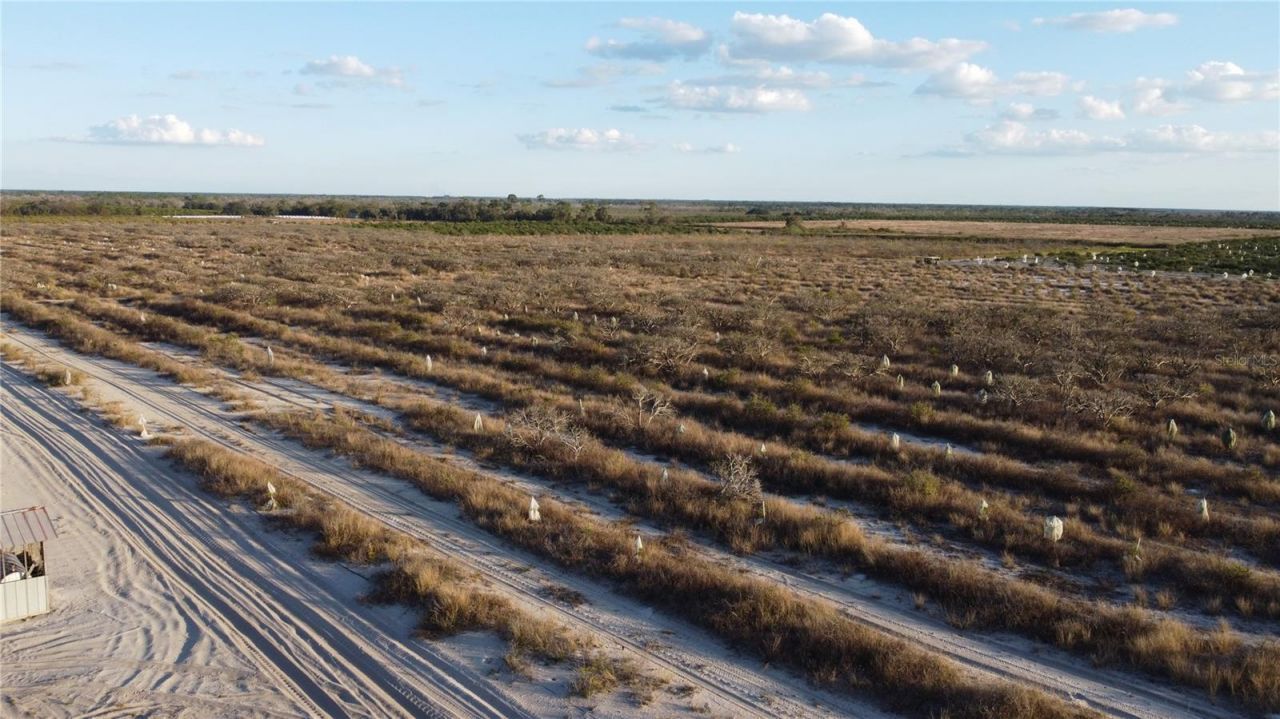 627 Raulerson Road, Frostproof, FL 33843 Photo