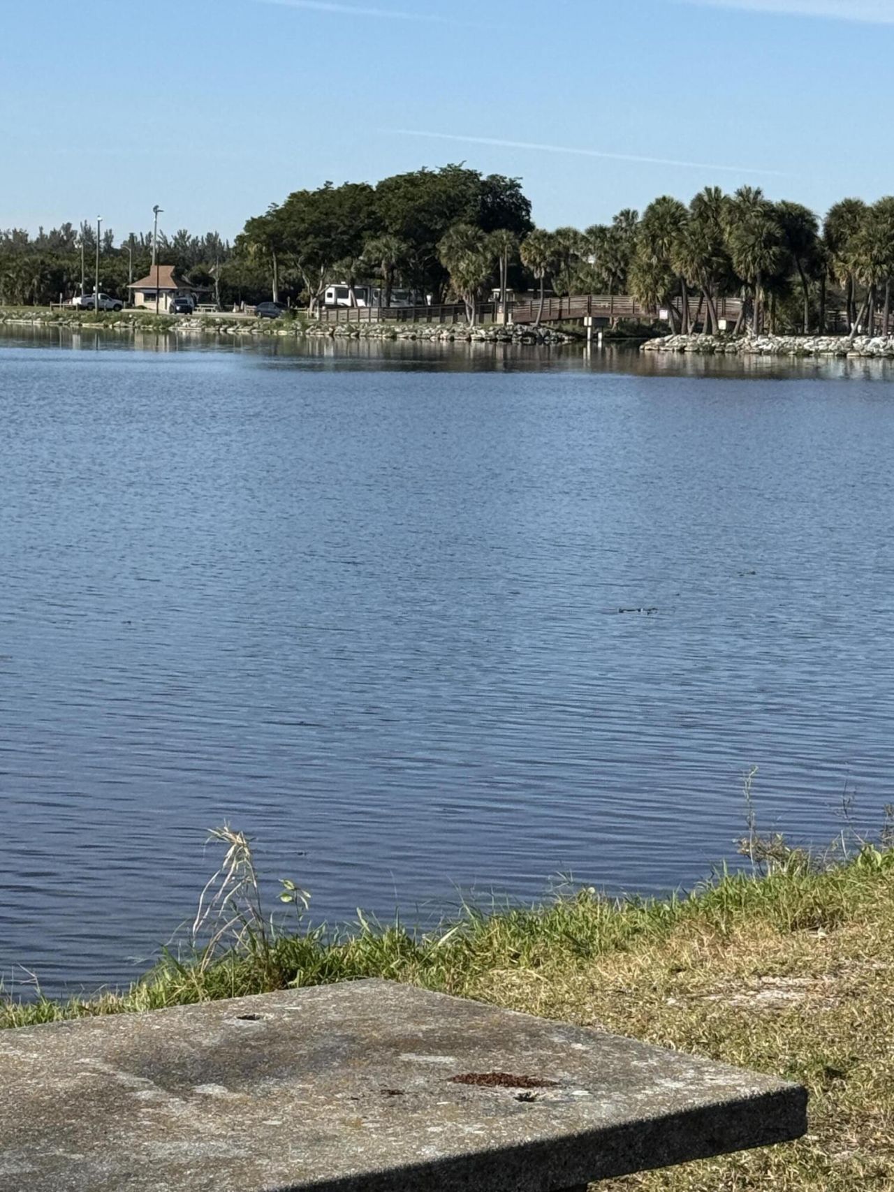 2960 Lake Osborne Drive, Unit 209, Lake Worth Beach, FL 33461 Photo