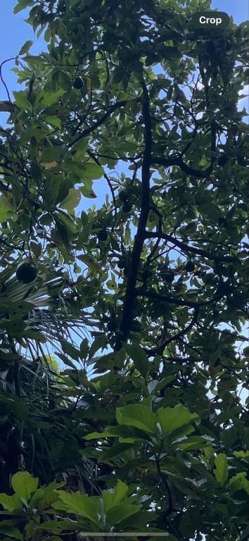 1773 SW Import Drive, Port Saint Lucie, FL 34953 Photo