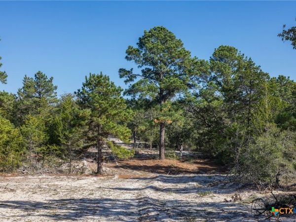 555 Altamira Lane, Dale, TX 78616