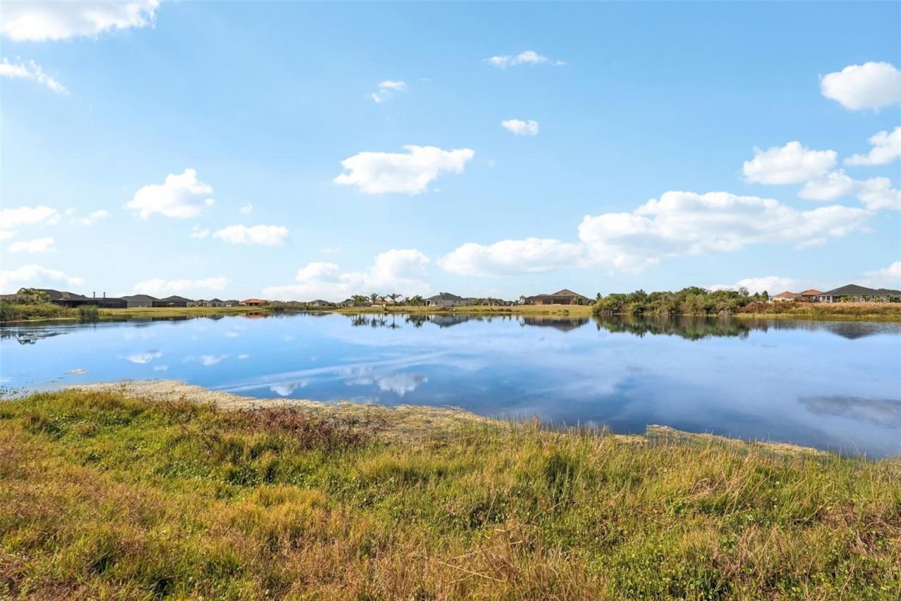 5027 Lake Toscana Drive, Wimauma, FL 33598 Photo