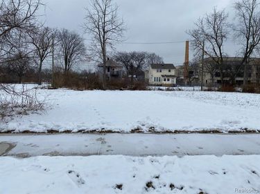 398 Louise Street, Highland Park, MI 48203