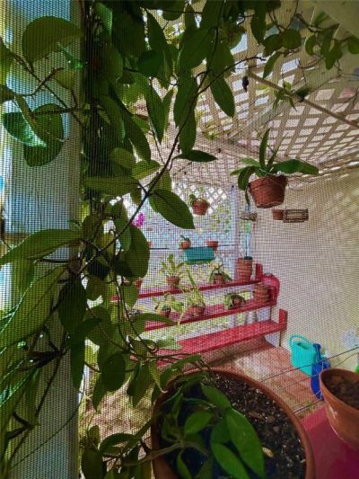 5971 NE 6th Avenue, Fort Lauderdale, FL 33334 Photo