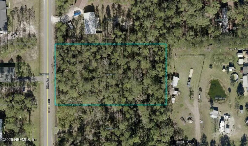 9720 Dillon Avenue, Hastings, FL 32145 Main Photo