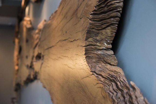 128 Columbus Street Photo 23