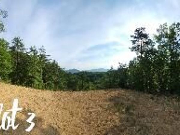 2811 Reese Mountain RD , Elliston, VA 24087