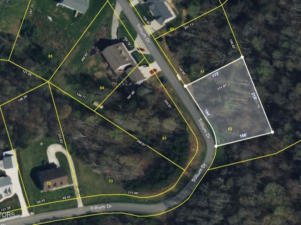 Trillium Drive, Andersonville, TN 37705