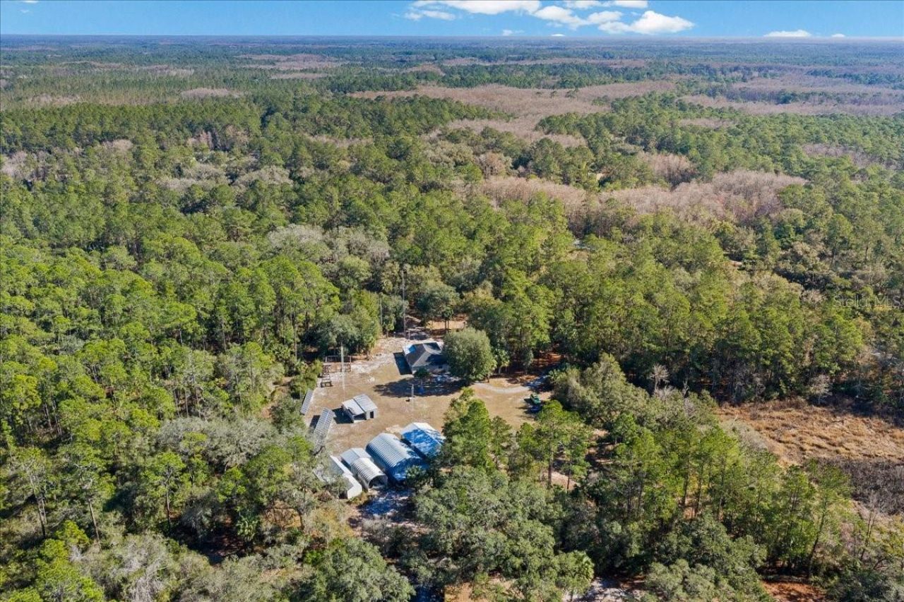 12359 NE Hwy 314, Silver Springs, FL 34488 Photo