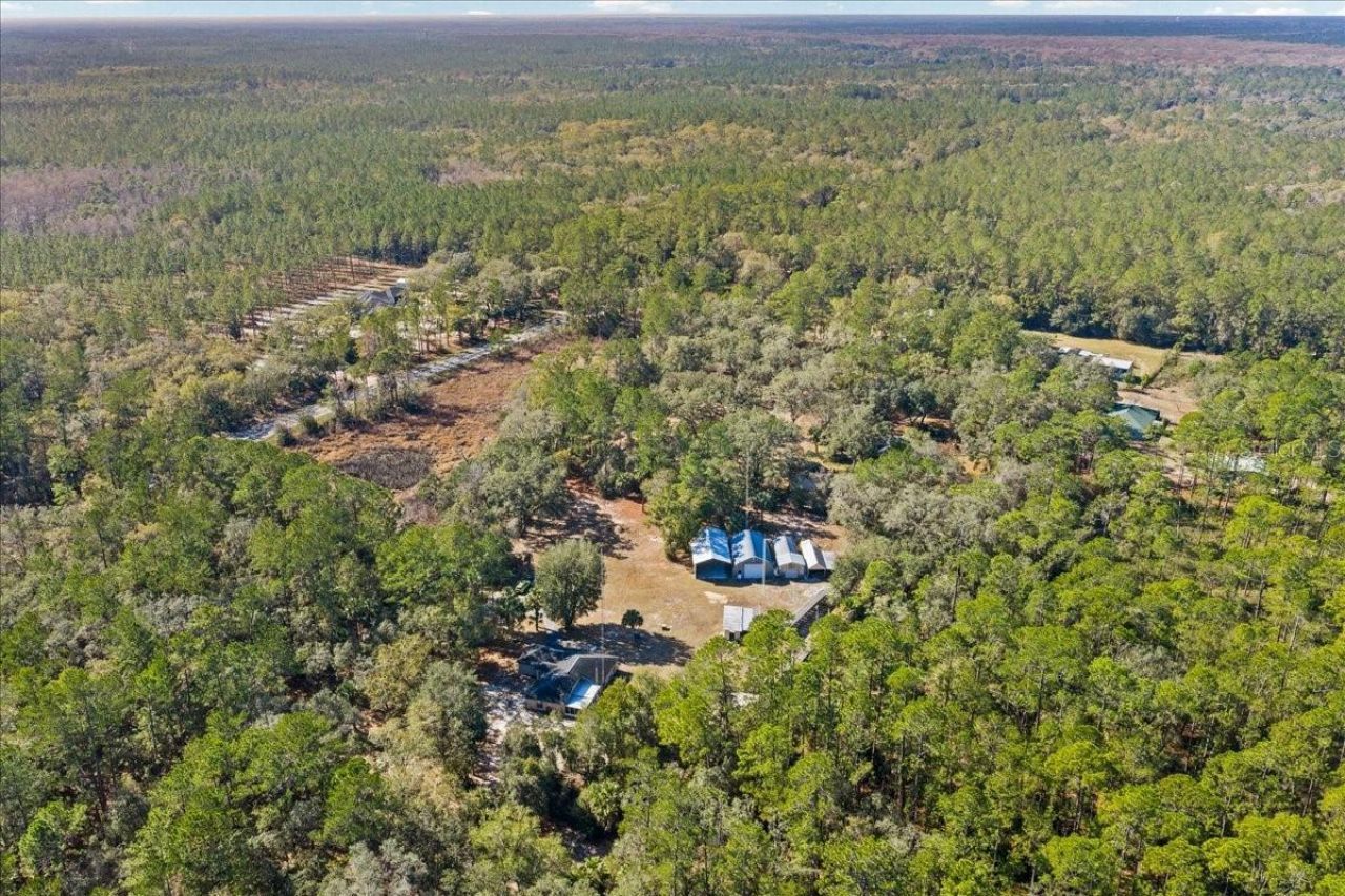 12359 NE Hwy 314, Silver Springs, FL 34488 Photo