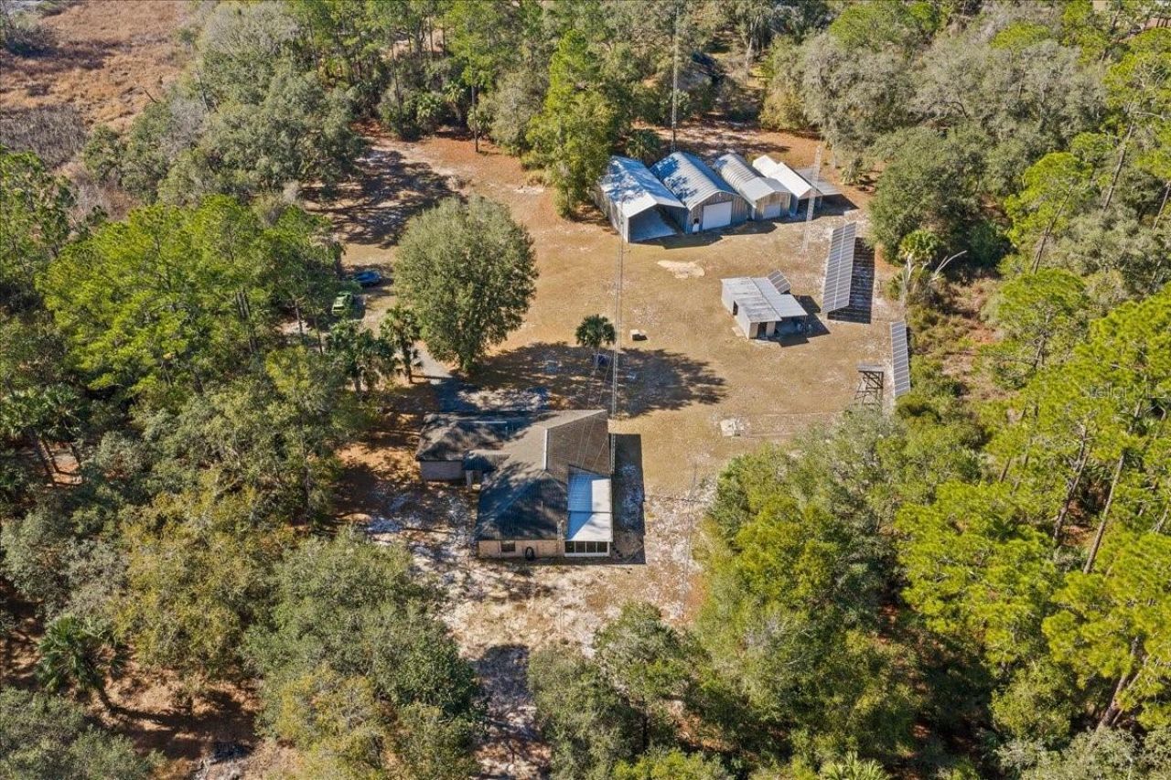 12359 NE Hwy 314, Silver Springs, FL 34488 Photo