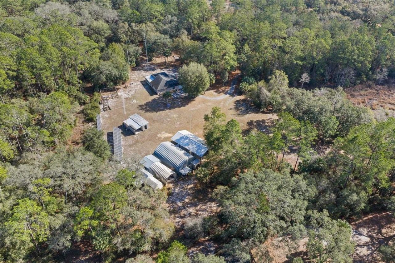 12359 NE Hwy 314, Silver Springs, FL 34488 Photo