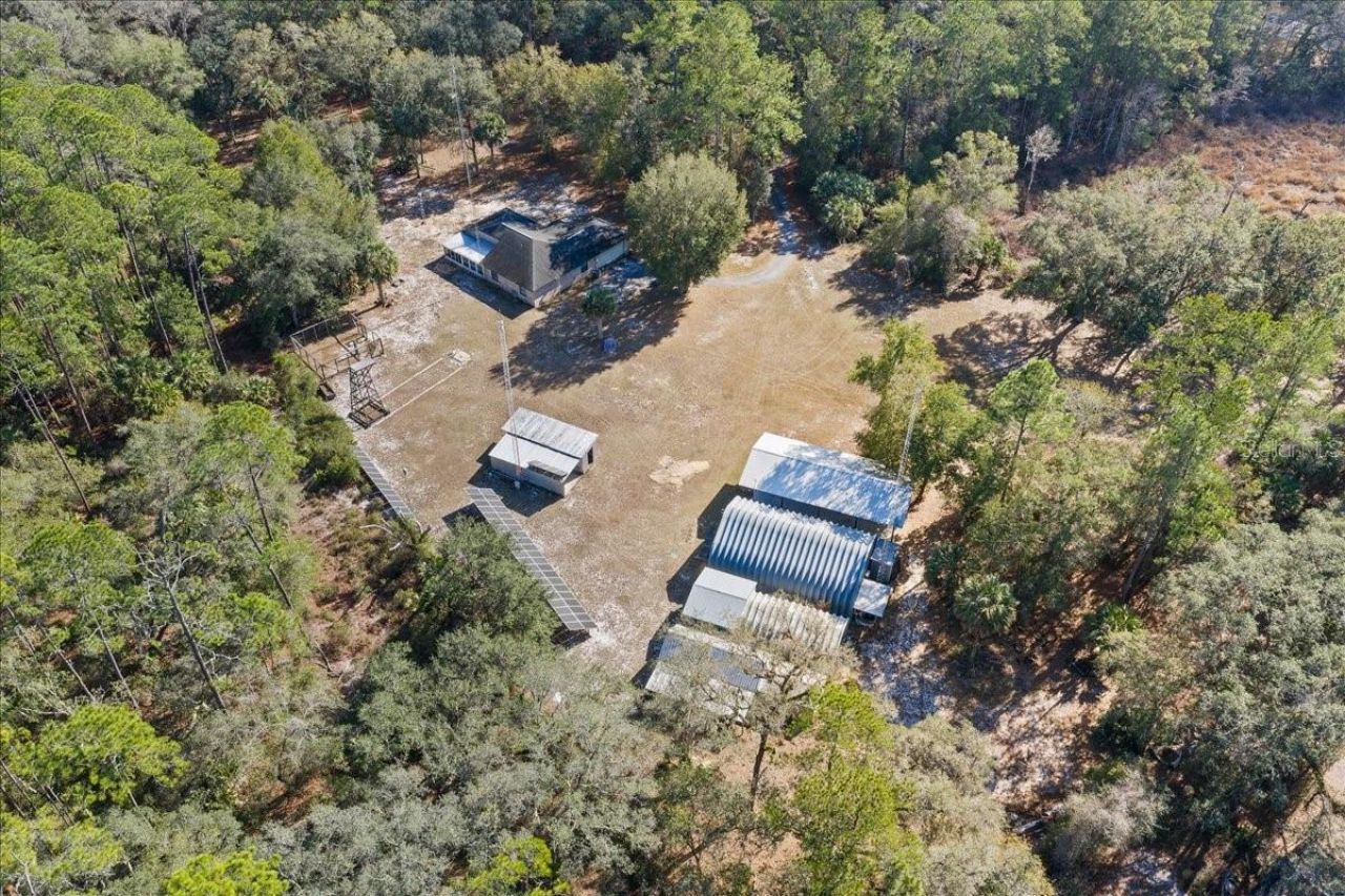 12359 NE Hwy 314, Silver Springs, FL 34488 Photo