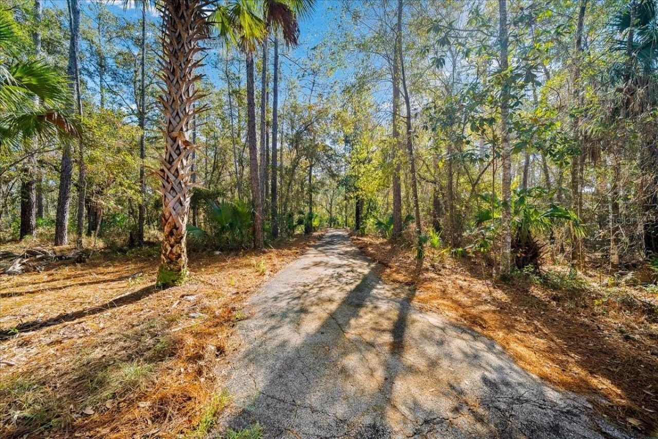 12359 NE Hwy 314, Silver Springs, FL 34488 Photo