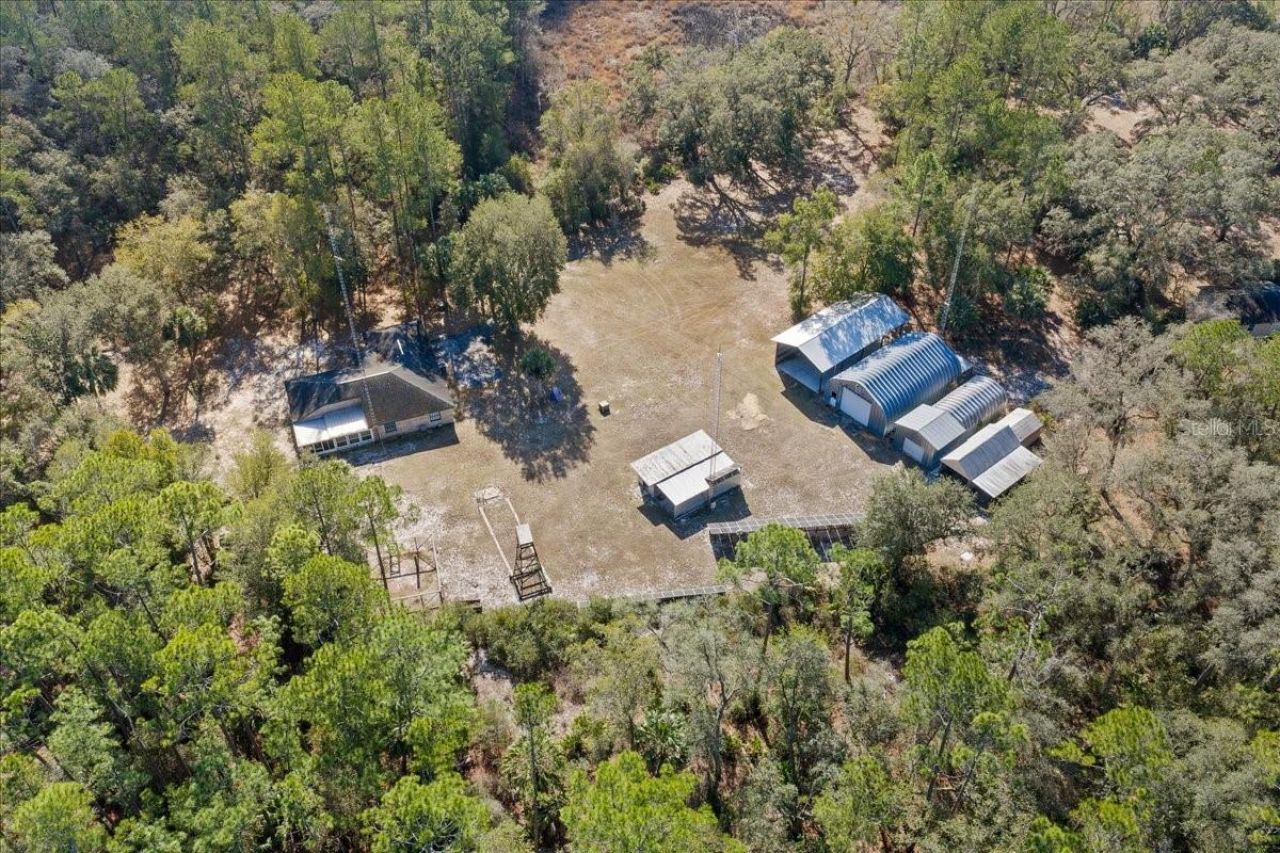 12359 NE Hwy 314, Silver Springs, FL 34488 Photo