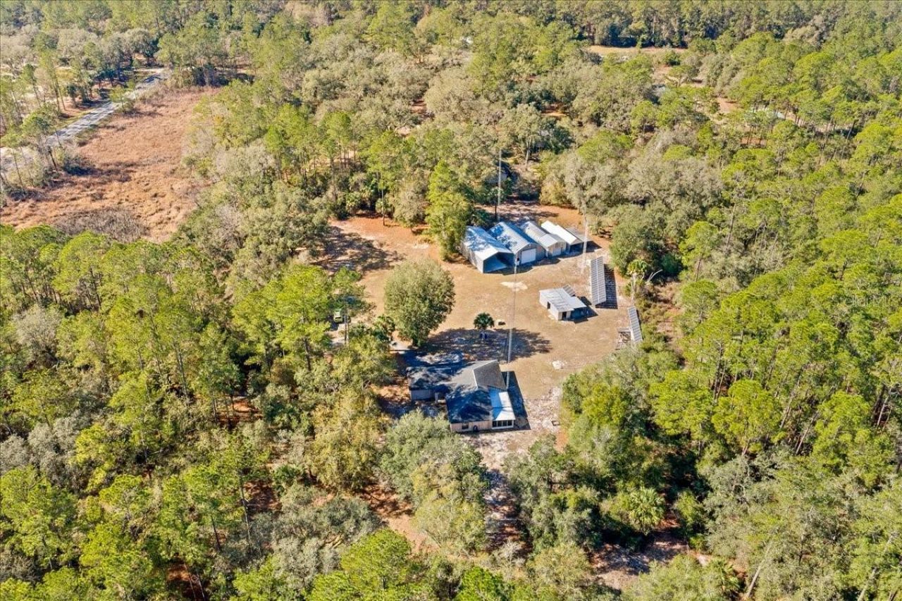 12359 NE Hwy 314, Silver Springs, FL 34488 Photo