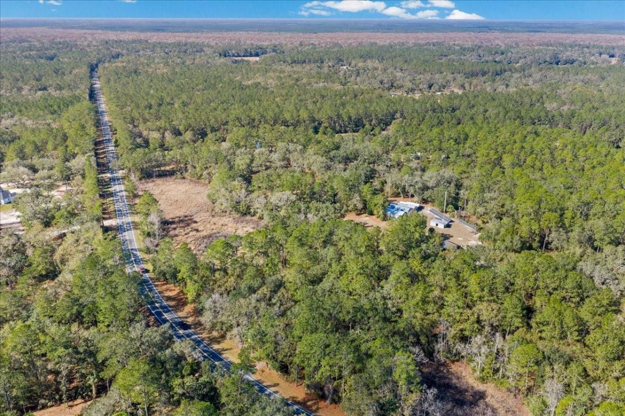 12359 NE Hwy 314, Silver Springs, FL 34488 Photo
