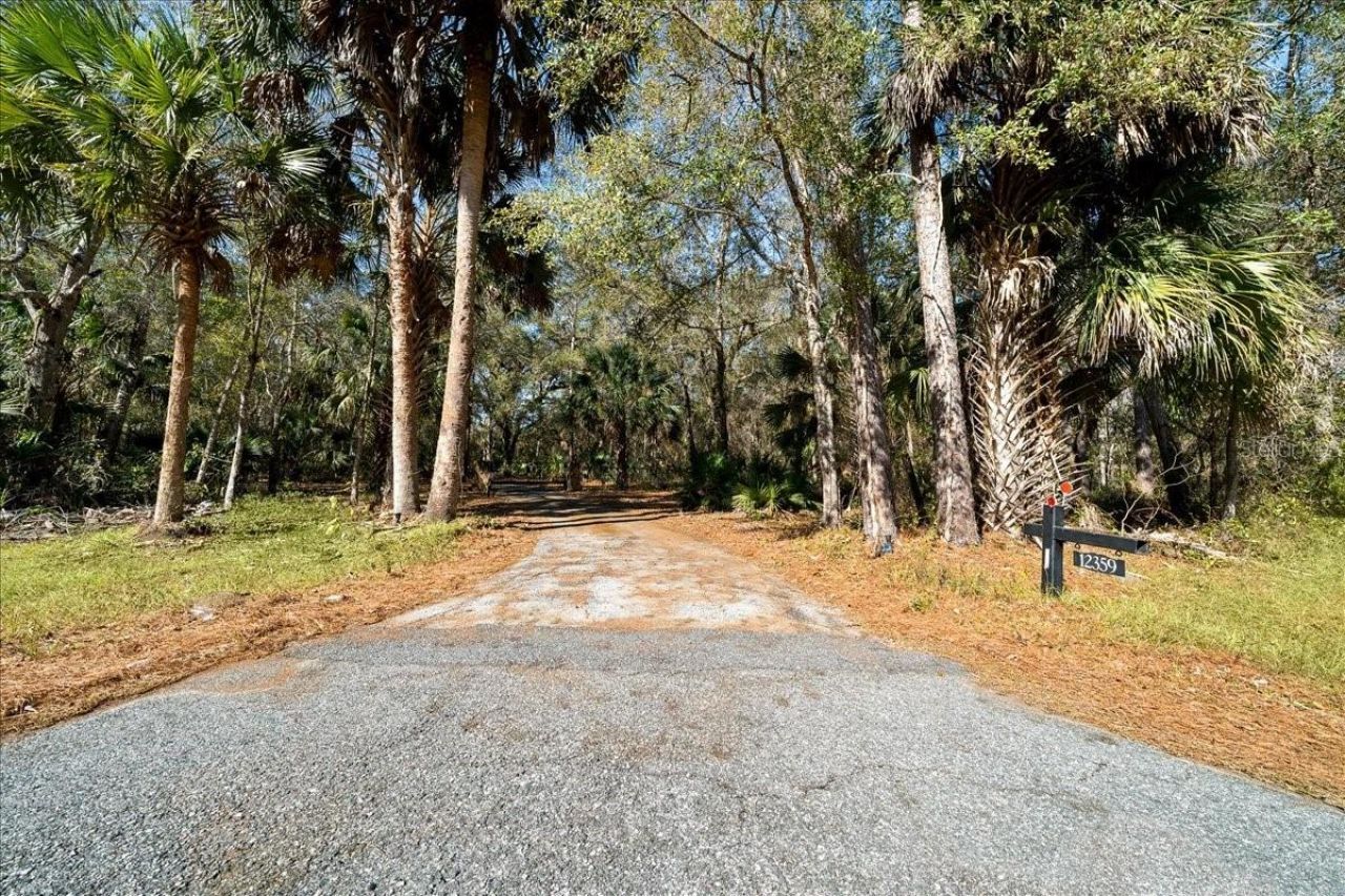 12359 NE Hwy 314, Silver Springs, FL 34488 Photo