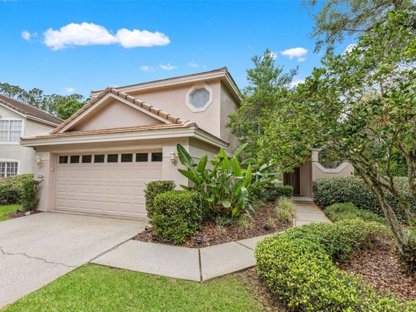 17716 NATHANS DRIVE, TAMPA, FL 33647