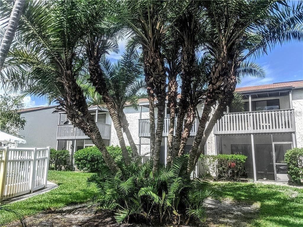11525 8th Way N, Unit 509, Saint Petersburg, FL 33716 Photo