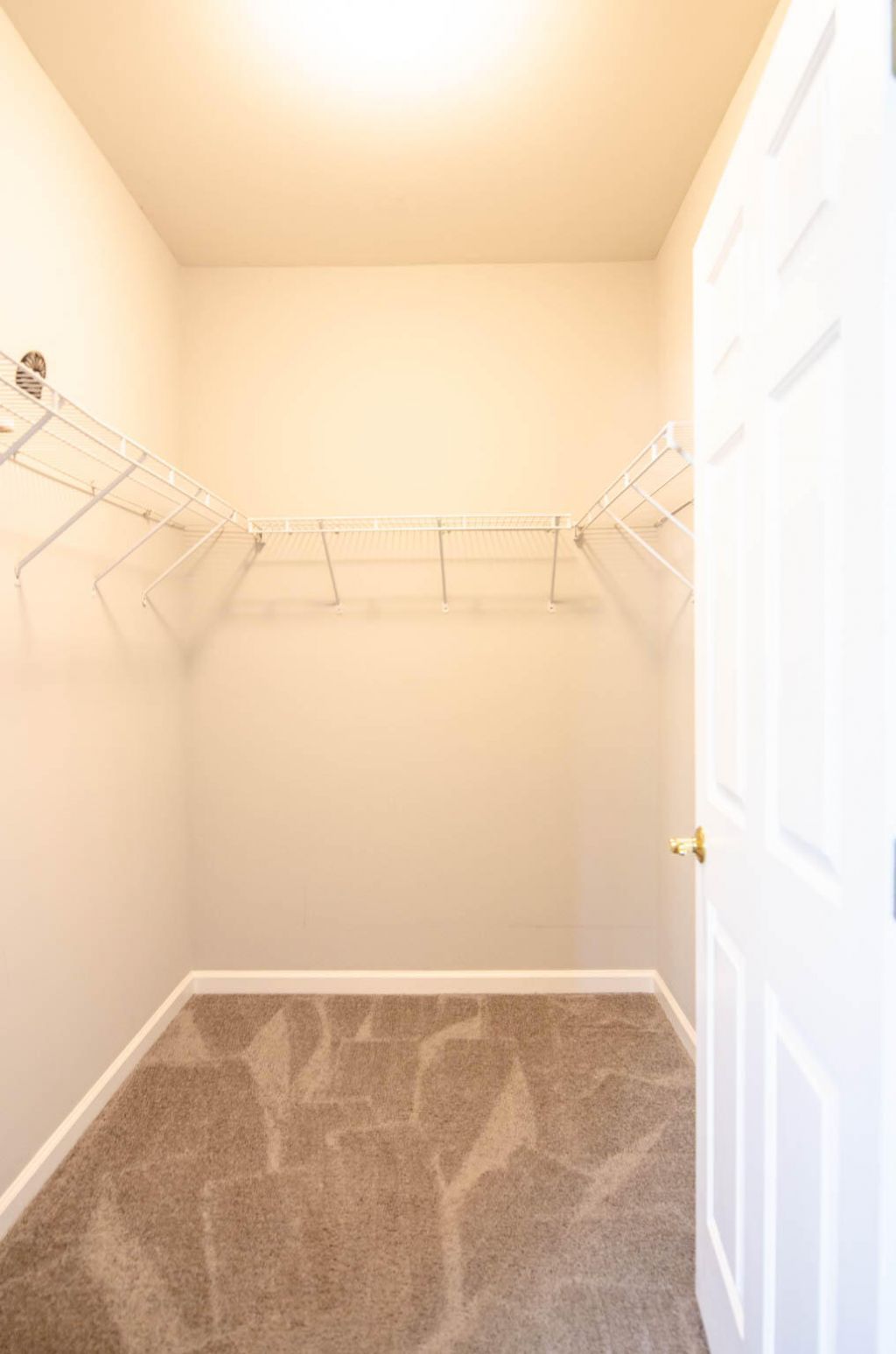 8800 Dorchester Road Photo 5