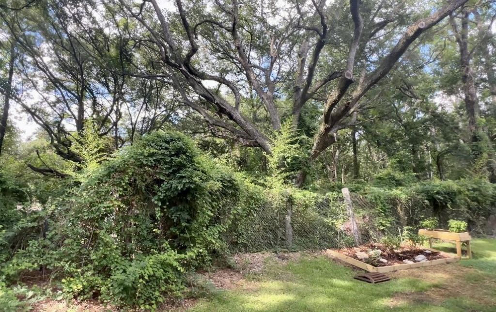 109 Rosefield Court Photo 27