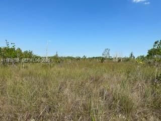 36050 SW 127 Av, Unincorporated Dade County, FL 33035 Photo