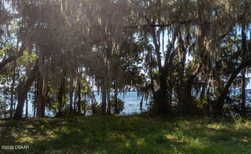 254 Saint Johns Drive, Palatka, FL 32177 Photo