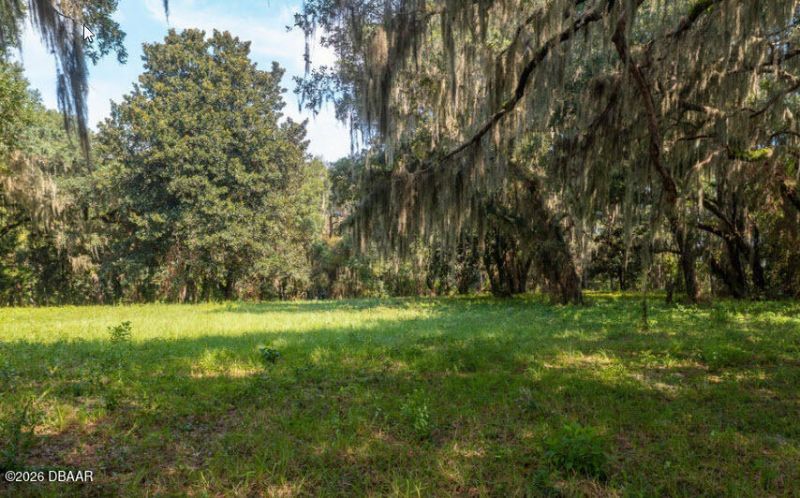 254 Saint Johns Drive, Palatka, FL 32177 Photo