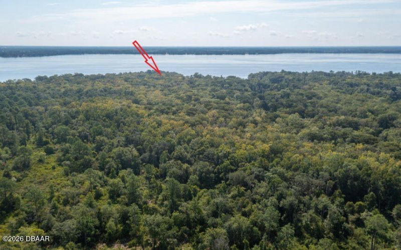 254 Saint Johns Drive, Palatka, FL 32177 Photo