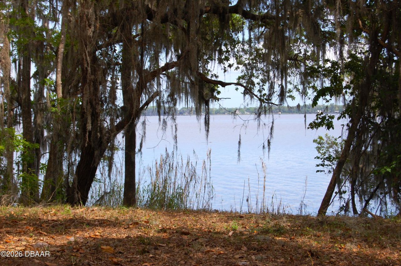 254 Saint Johns Drive, Palatka, FL 32177 Photo