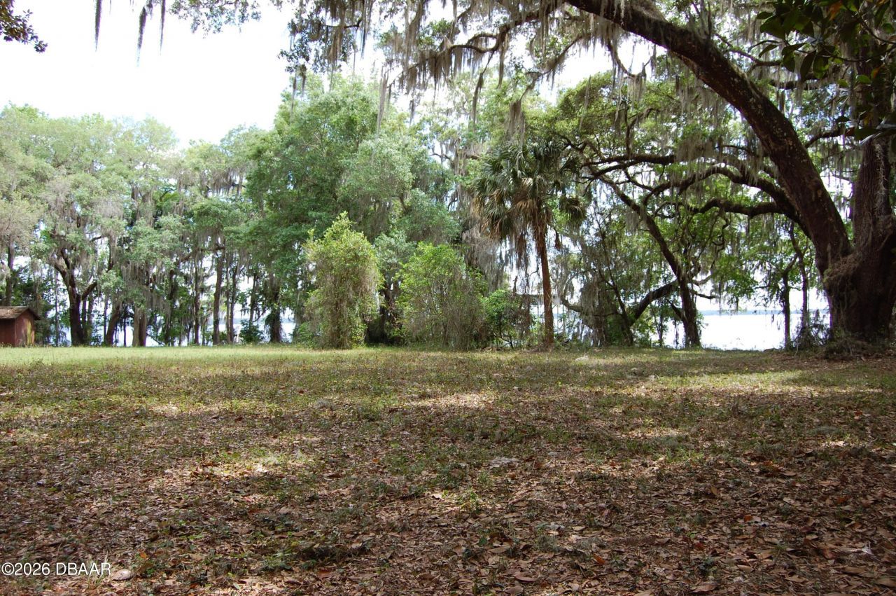 254 Saint Johns Drive, Palatka, FL 32177 Photo