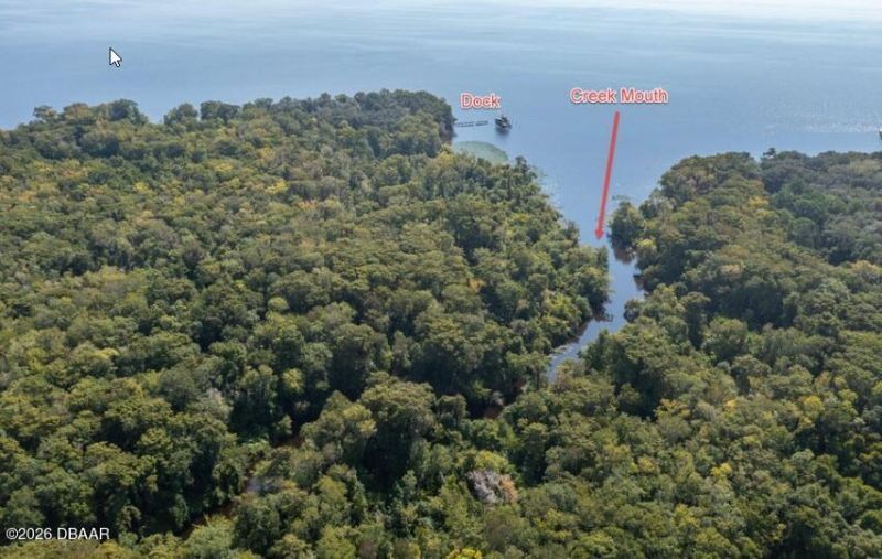 254 Saint Johns Drive, Palatka, FL 32177 Photo