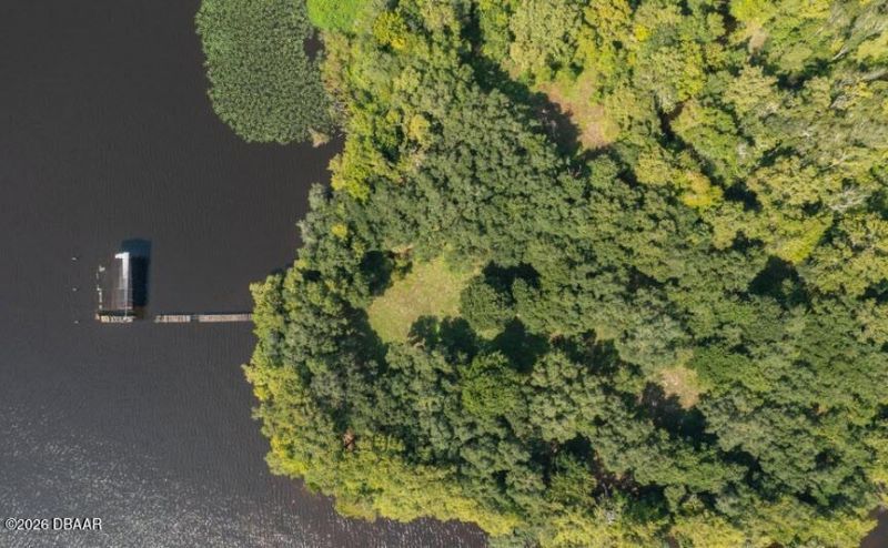 254 Saint Johns Drive, Palatka, FL 32177 Photo