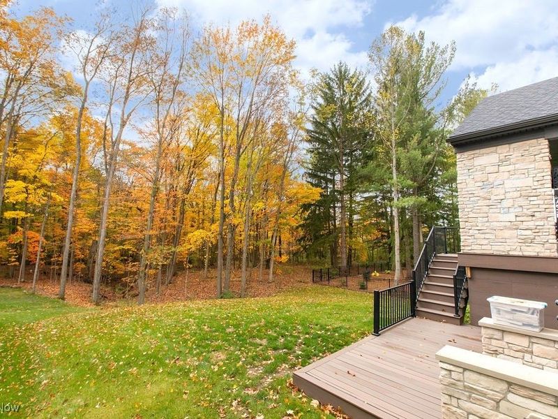 2770 Weeping Pine Drive, Medina, OH 44256 Photo 43