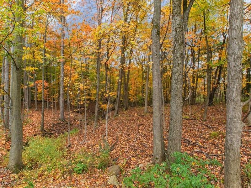 2770 Weeping Pine Drive, Medina, OH 44256 Photo 44