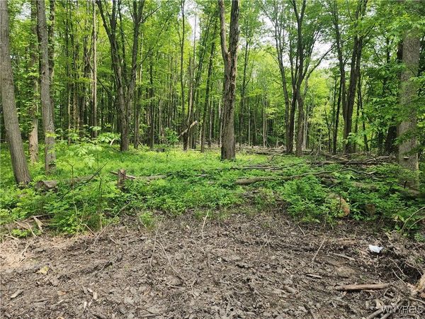 Lake Shore Road, Angola, NY 14006