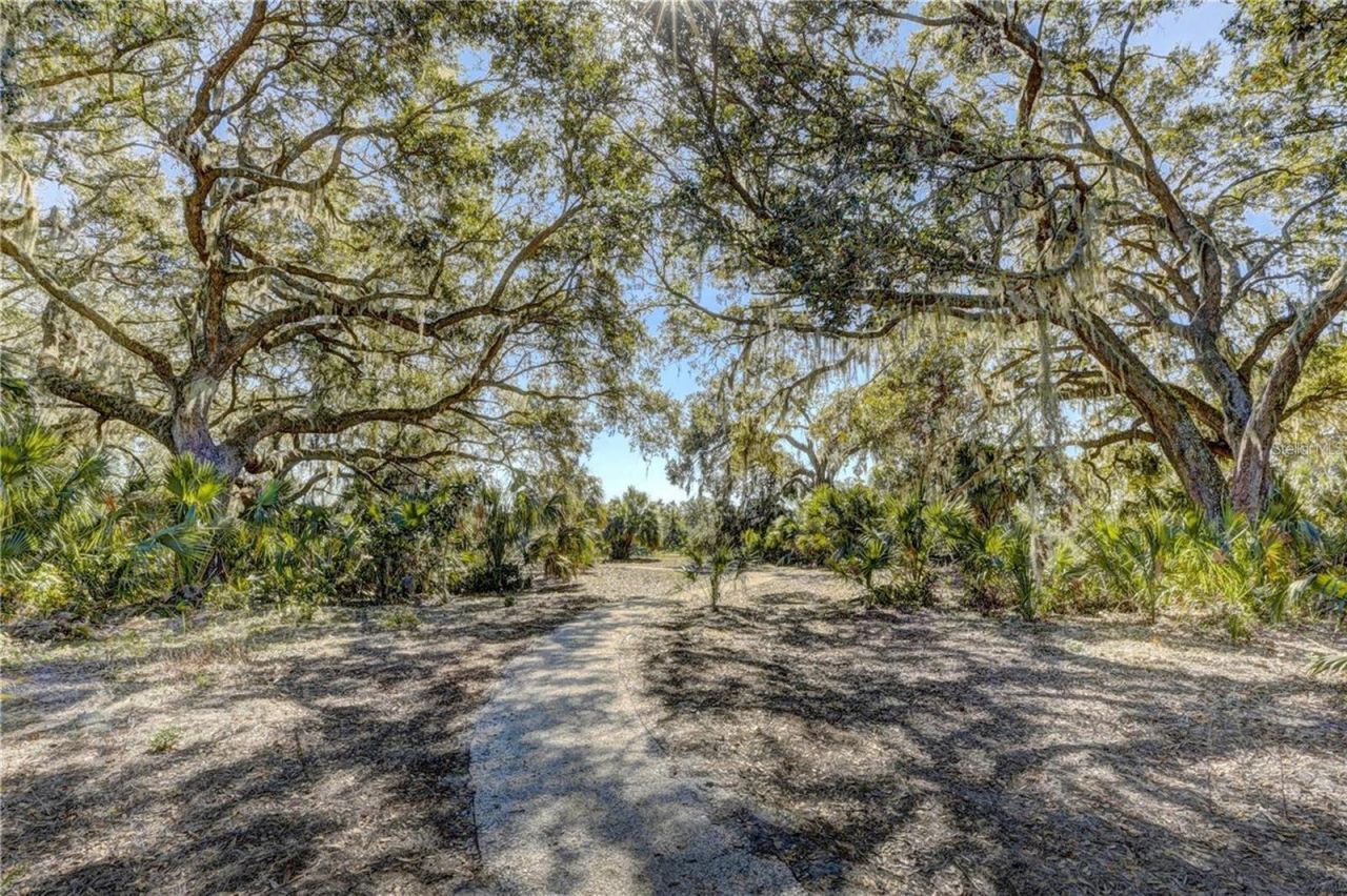 11419 Daybreak Glen, Parrish, FL 34219 Photo