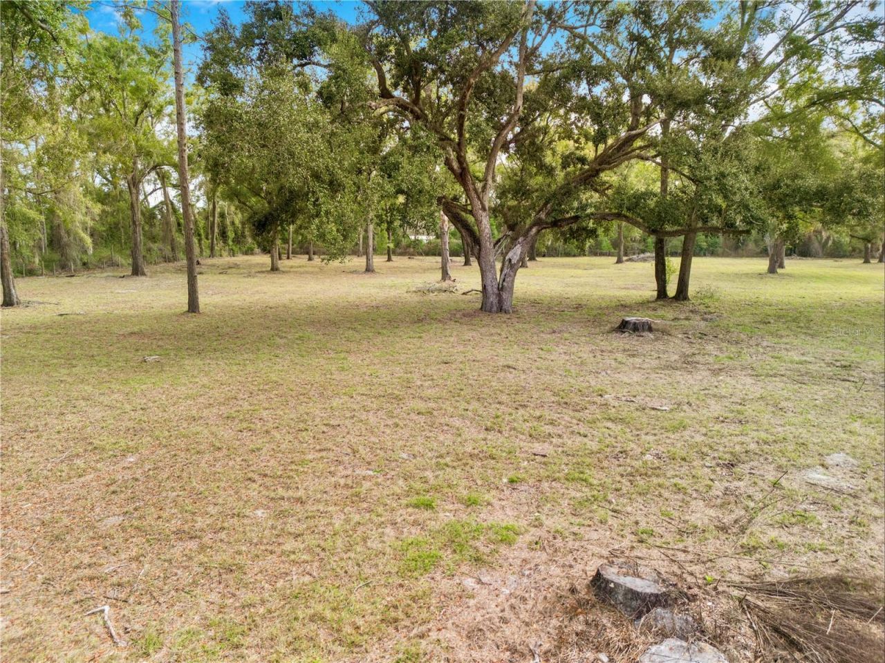 21210 137th Drive, O Brien, FL 32071 Photo