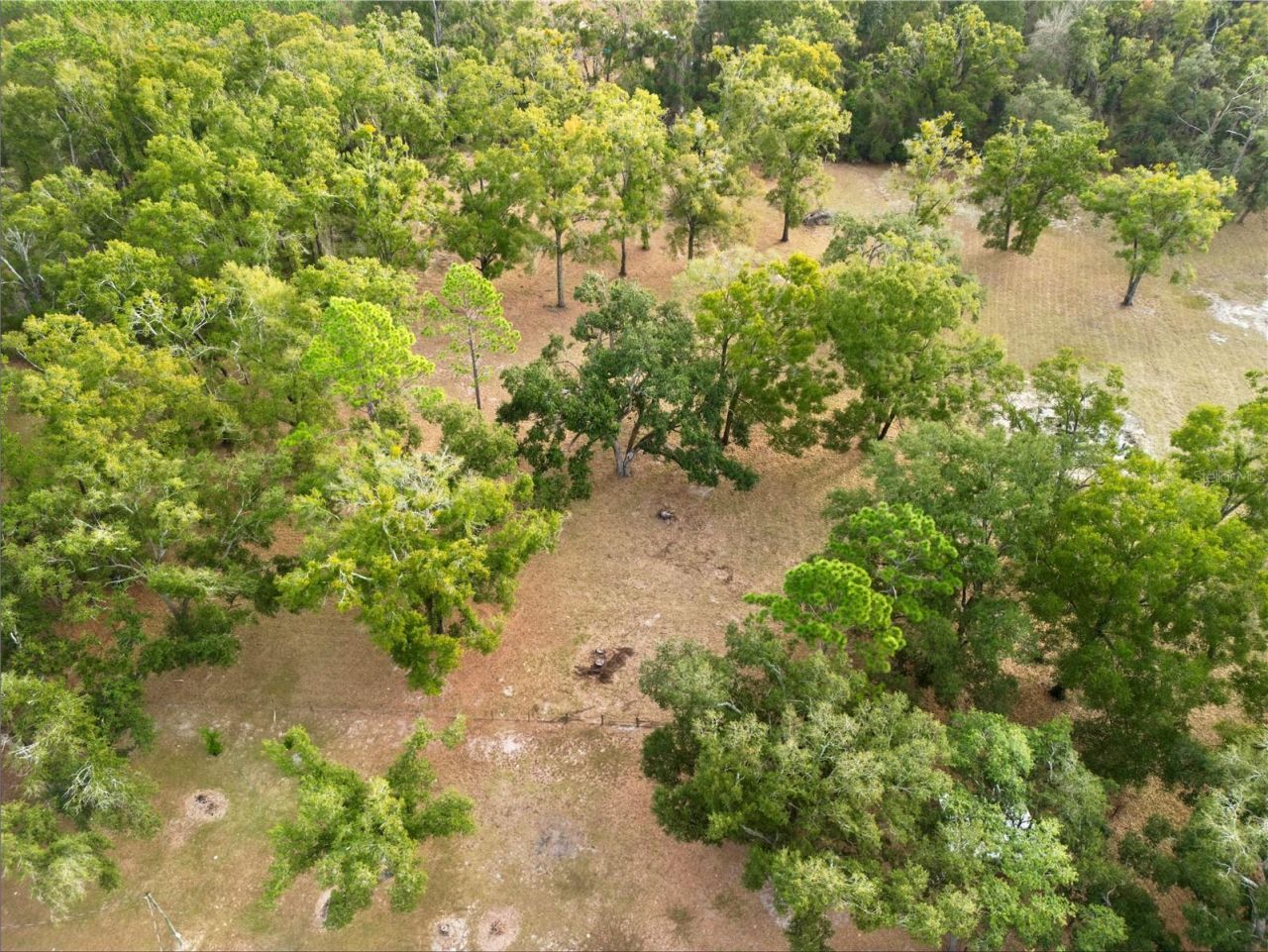 21210 137th Drive, O Brien, FL 32071 Photo