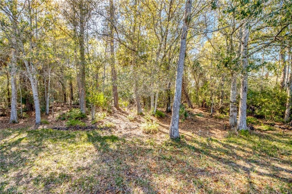 10600 Tirano Ct, Fort Myers, FL 33913 Photo