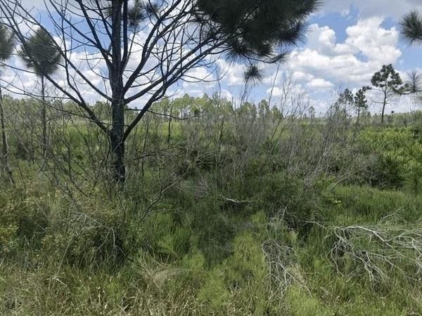 0 Xeriscape Nursery Road, Frostproof, FL 33843