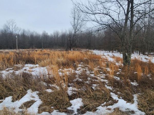 1927 Maple Grove B, Pike Twp, OH 45154