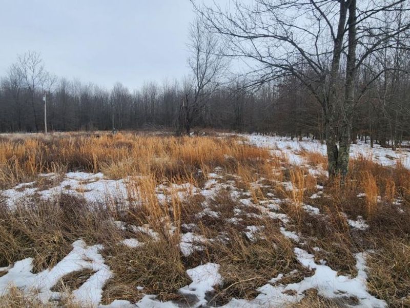 1927 Maple Grove B, Pike Twp, OH 45154 Photo 1